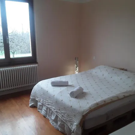 Maison A La Frontière Suisse Avec Jacuzzi ,billard Villa *